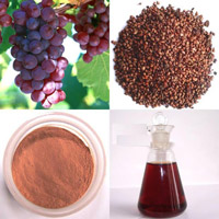 Grape seed extract