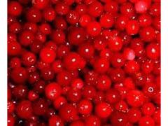 Lingonberry Red