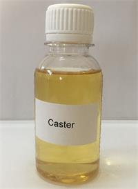 Caster